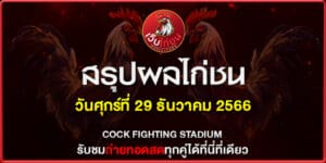 สรุปผลไก่ชน2566