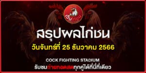 ไฮไลท์ ไก่ชน 2566