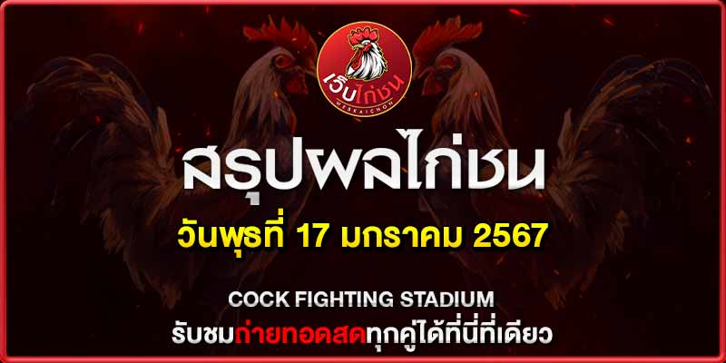 ผลไก่ชน สด 17167