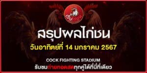 การชนไก่ 14167