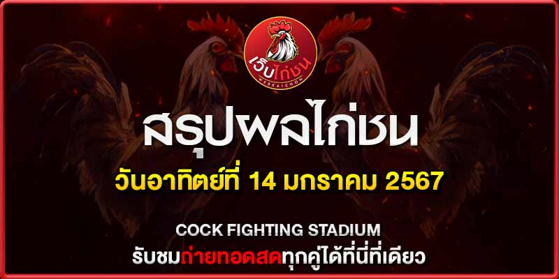 การชนไก่ 14167