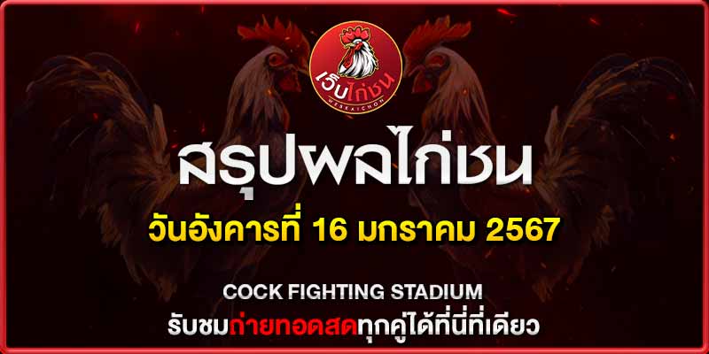 เพจถ่ายทอดสดไก่ชน 16167