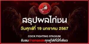 ไก่ชนคู่เอก 19167