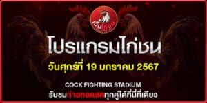 ไก่ชนคู่เอกวันนี้ 19167