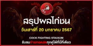 ผลไก่ชน ออนไลน์ 20167