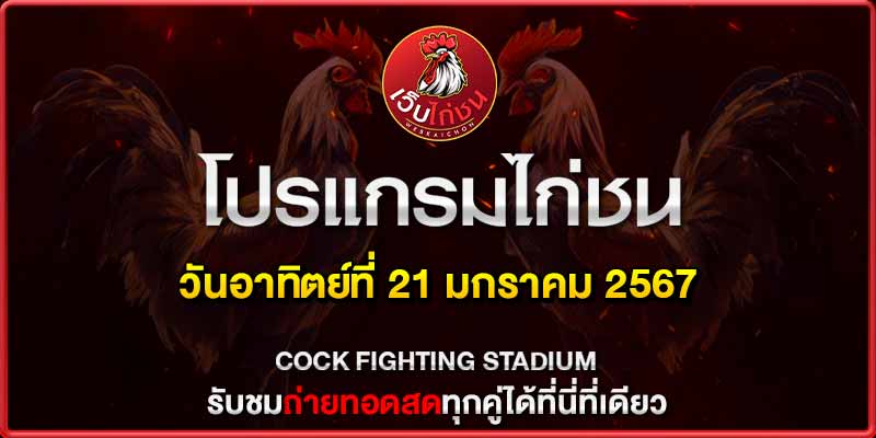 ไก่เก่ง น็อคเร็ว 21167