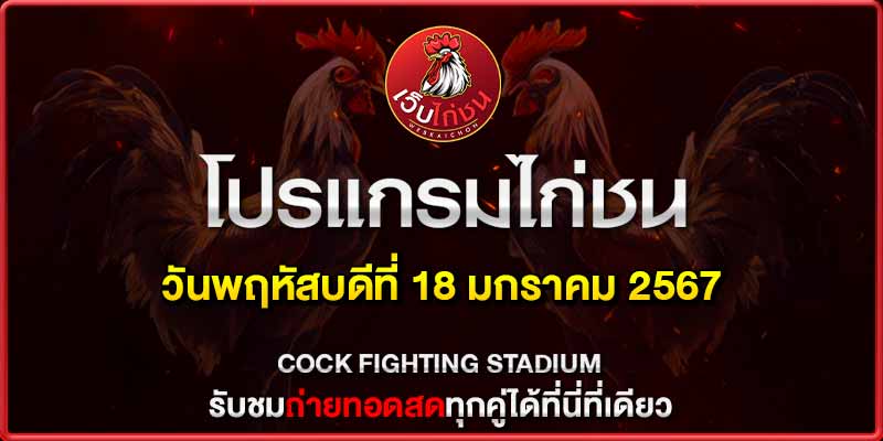 ไก่ชน คู่ดุเดือด 18167