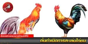 ต้นกำเนิดไก่ชน