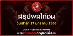 ไก่ชนตี กันในบ่อน270167