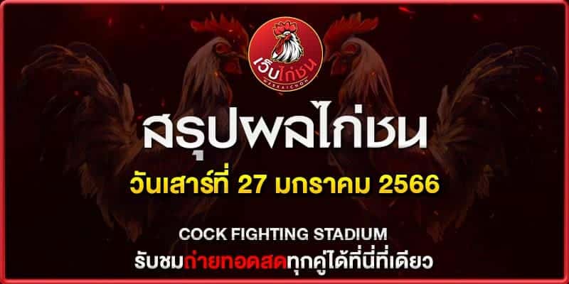 ไก่ชนตี กันในบ่อน270167