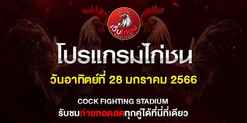 โปรแกรม ไก่ชนออนไลน์280167