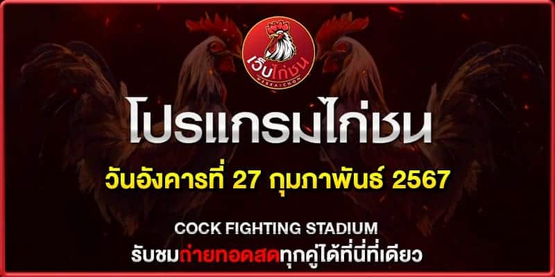 ไลท์ ไก่ชน ล่าสุด270267