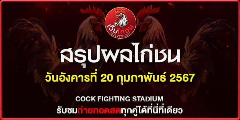 ไก่เก่ง น็อคเร็ว200267