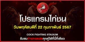 คนรัก ไก่ชน220267