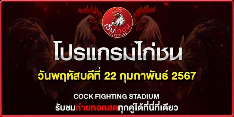 คนรัก ไก่ชน220267