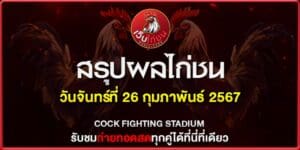 ข่าว ไก่ชน260267