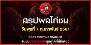 สรุปผลไก่ช7267