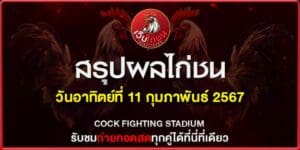 สรุปผลไก่ชน11267