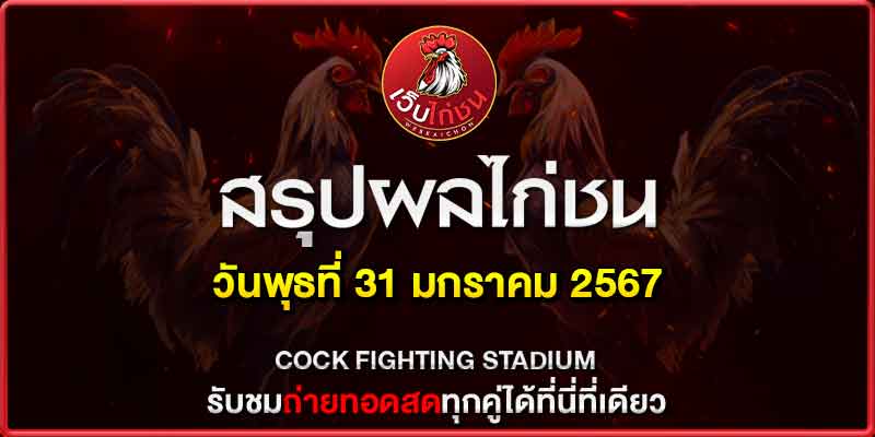 สรุปผลไก่ชน31167