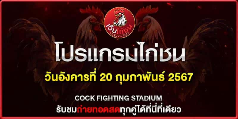 ไก่ชนคู่ หยุดโลก200267