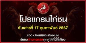 ไก่ชน 4เดือน170267