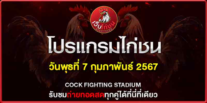 โปรแกรมไก่ชน7267