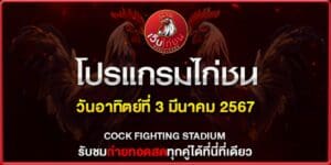 ไก่ชนเงินล้าน วันนี้030367