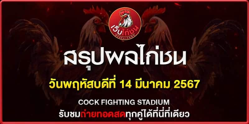 เทปไก่ชน ย้อนหลัง140367