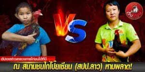 ไก่ชน คู่เอก