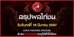 สรุปผลไก่ชน180367