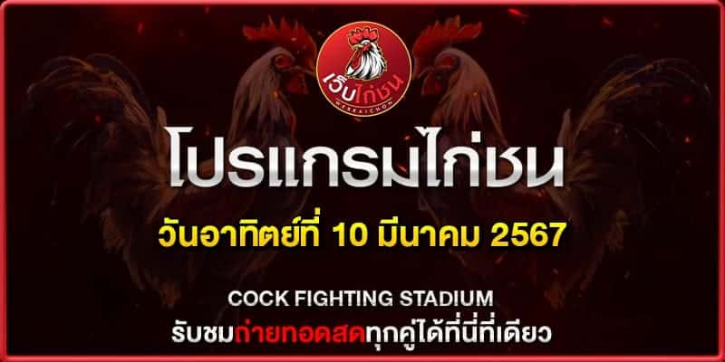 วิธี เล่นไก่ให้ได้เงิน100367