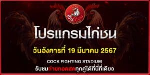 เว็บแทงไก่ขน 190367