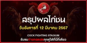 ขอดูไก่ชนเงินล้าน120367