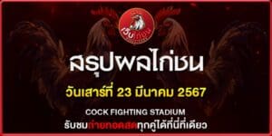 ไลฟ์สดไก่ชน ล่าสุด230367