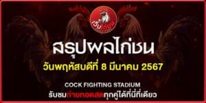 ดูไก่ชนสด090367