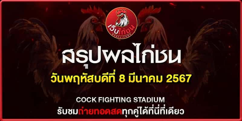 ดูไก่ชนสด090367