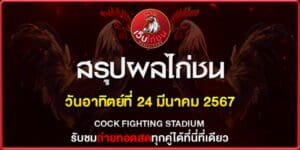 เว็บดูไก่ชน240367