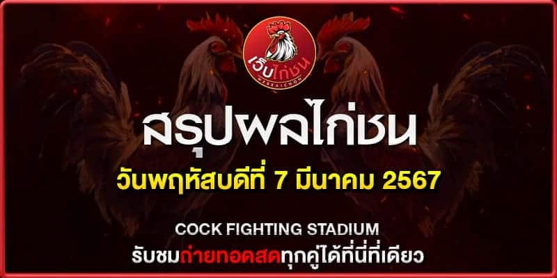 เล่นไก่สด070367