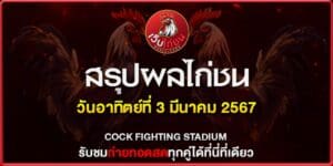 ไก่ชน เงินล้าน ล่าสุด040367