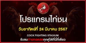 วิธีเล่น ไก่ชนออนไลน์240367