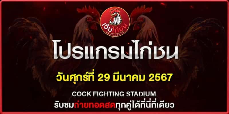 วิธีดูไก่ตีแม่น290367