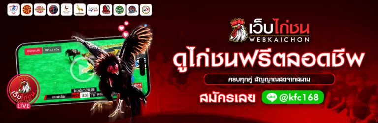 บทความไก่ชน2 ดูไก่ชนฟรี