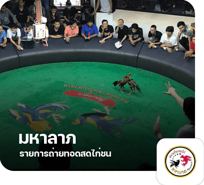 11.สนามมหาลาภ