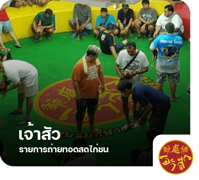 5.สนามไก่ชนเจ้าสัว-1