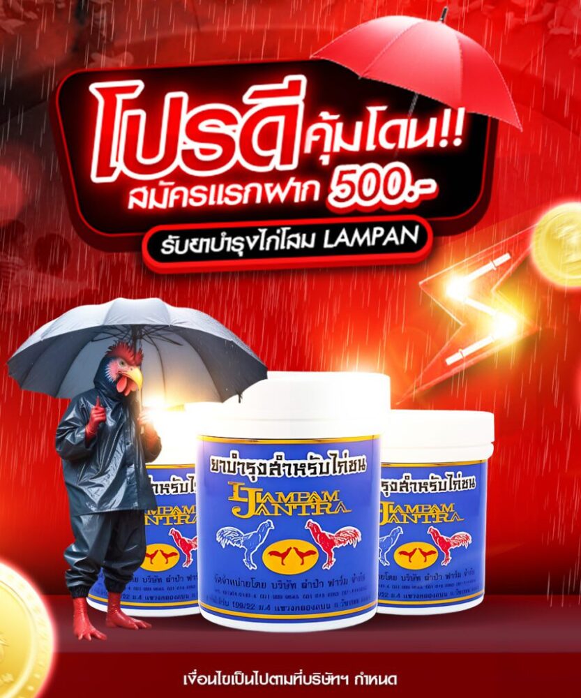 ฝาก-500-รับน้ำยาไก่