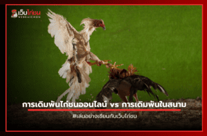 การเดิมพันไก่ชนออนไลน์ vs การเดิมพันในสนาม