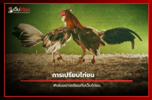 การเปรียบไก่ชน