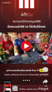 ฟ้าวันใหม่ vs ไก่เงินไก่ทอง