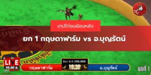 ยก 1 กฤษดาฟาร์ม vs อ.บุญรัตน์