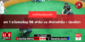 ยก 1 ช.โชคเจริญ 98 ฟาร์ม vs ศักดาฟาร์ม + น้องริตา